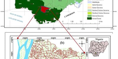 Mapa da nigéria mostrando vegetação cintos